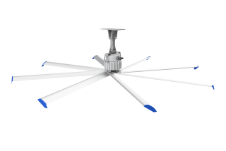 Swift VIII - 8 blade